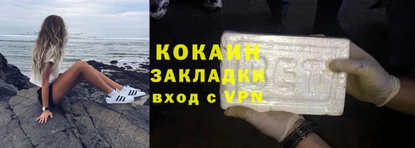 МДПВ Снежногорск