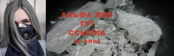 стафф Алексин