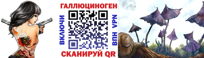 KRAKEN как зайти  Покров  Галлюциногенные грибы мицелий 